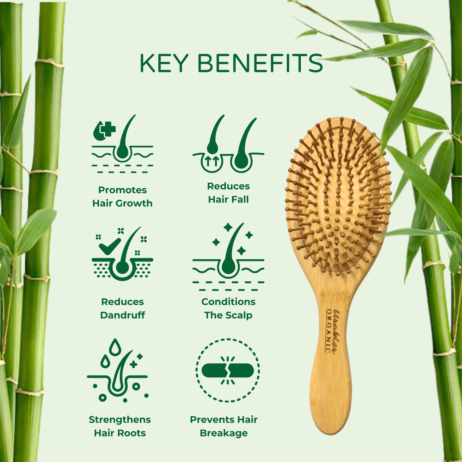 Bamboo Hair Brush Oval Shape With Rounded Bamboo Bristles