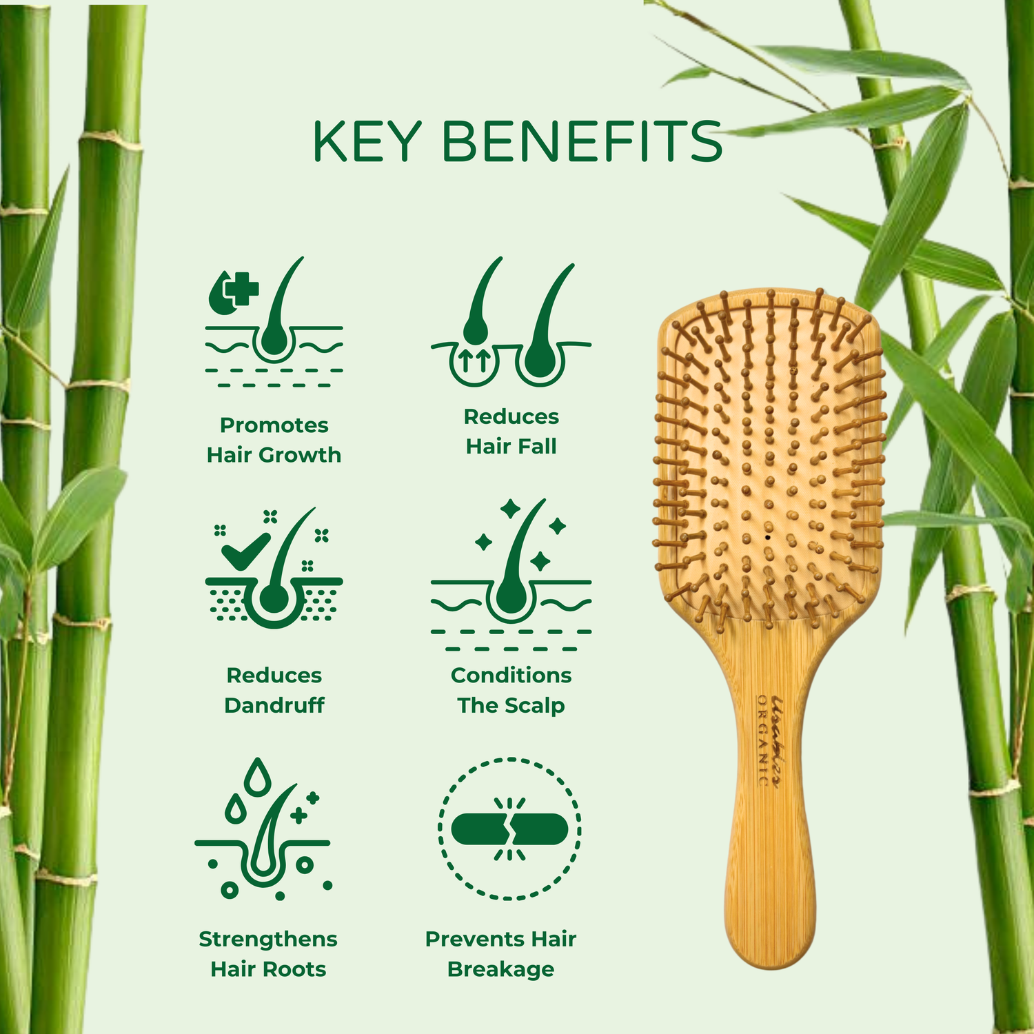 Bamboo Hair Brush Rectangular Shape With Rounded Bamboo Bristles