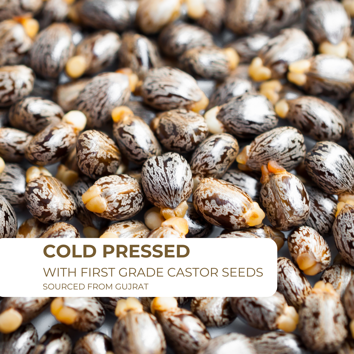 Wood Pressed Cold Pressed Castor Oil – 100% Pure & Natural 200 ml