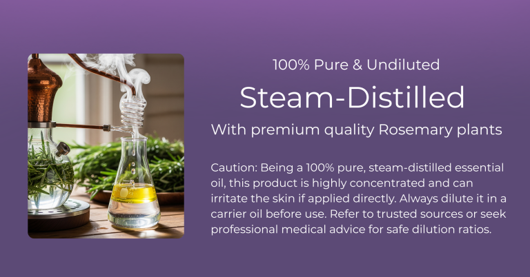 rosemary oil graphic 6