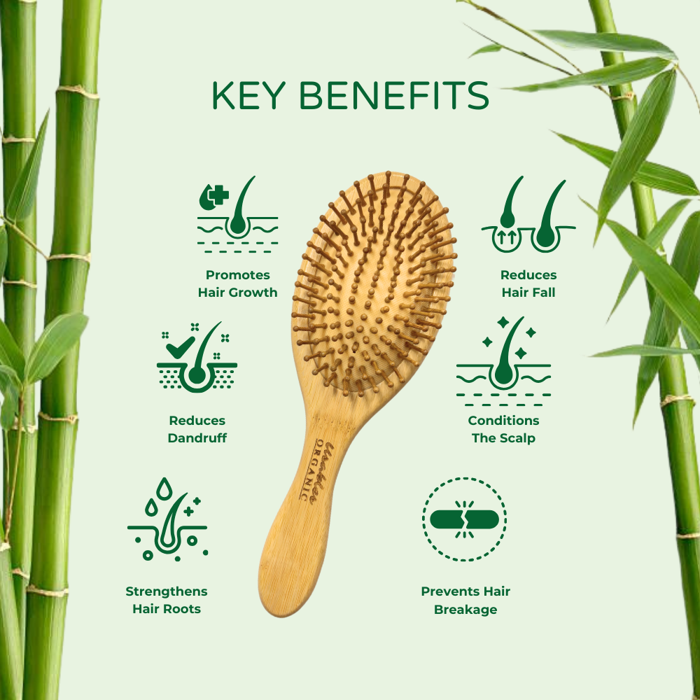 v2 bamboo brush oval 3