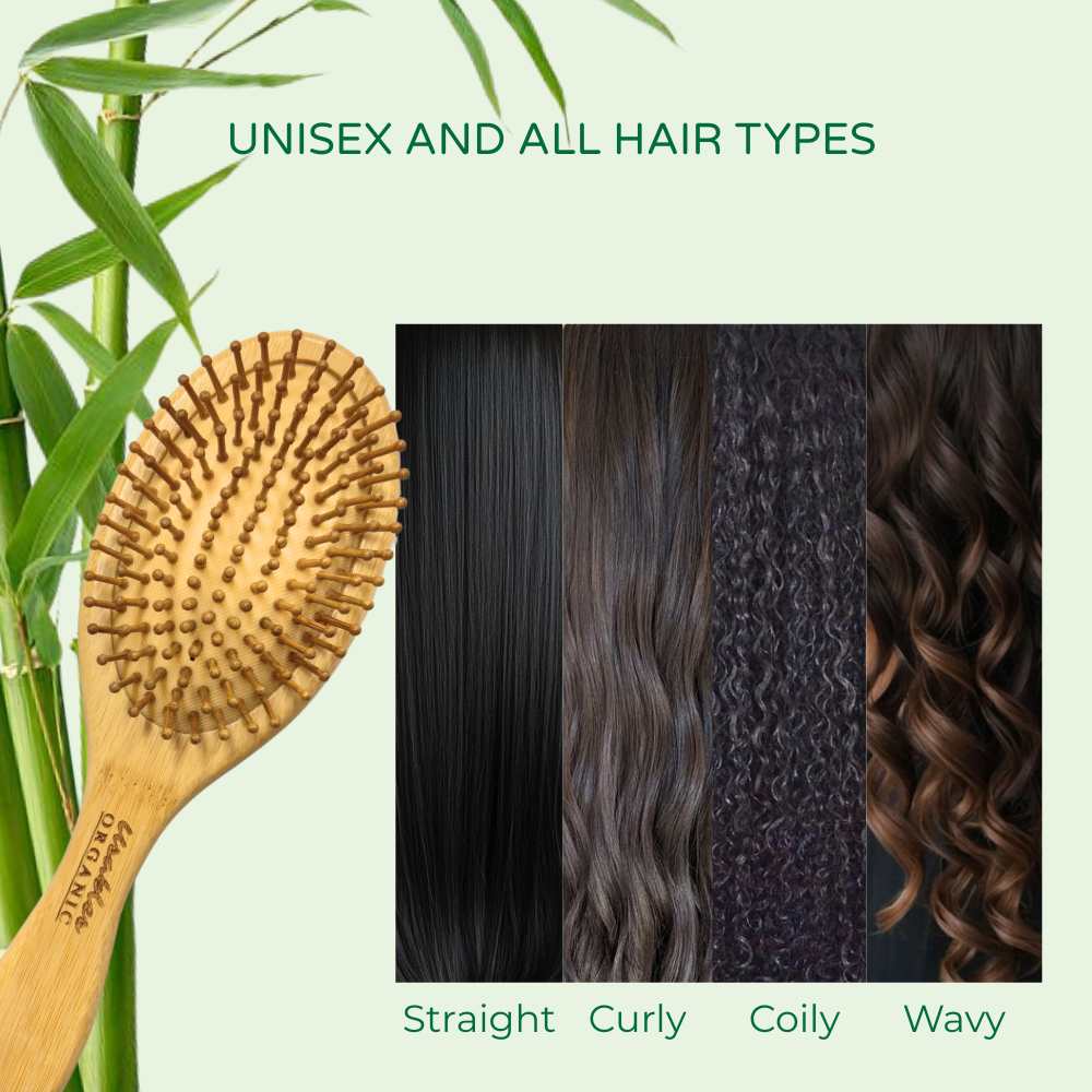 v2 bamboo brush oval 6